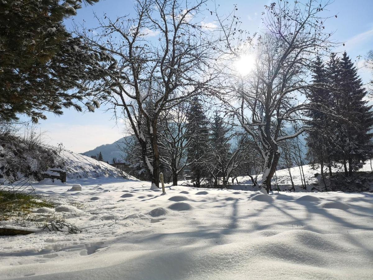 Haus Senna Villa Murau Buitenkant foto