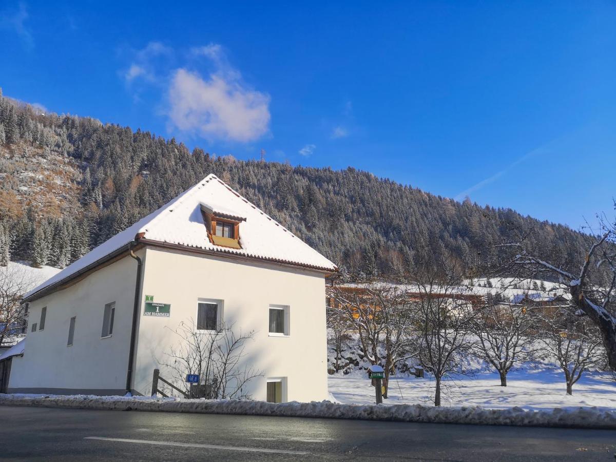 Haus Senna Villa Murau Buitenkant foto